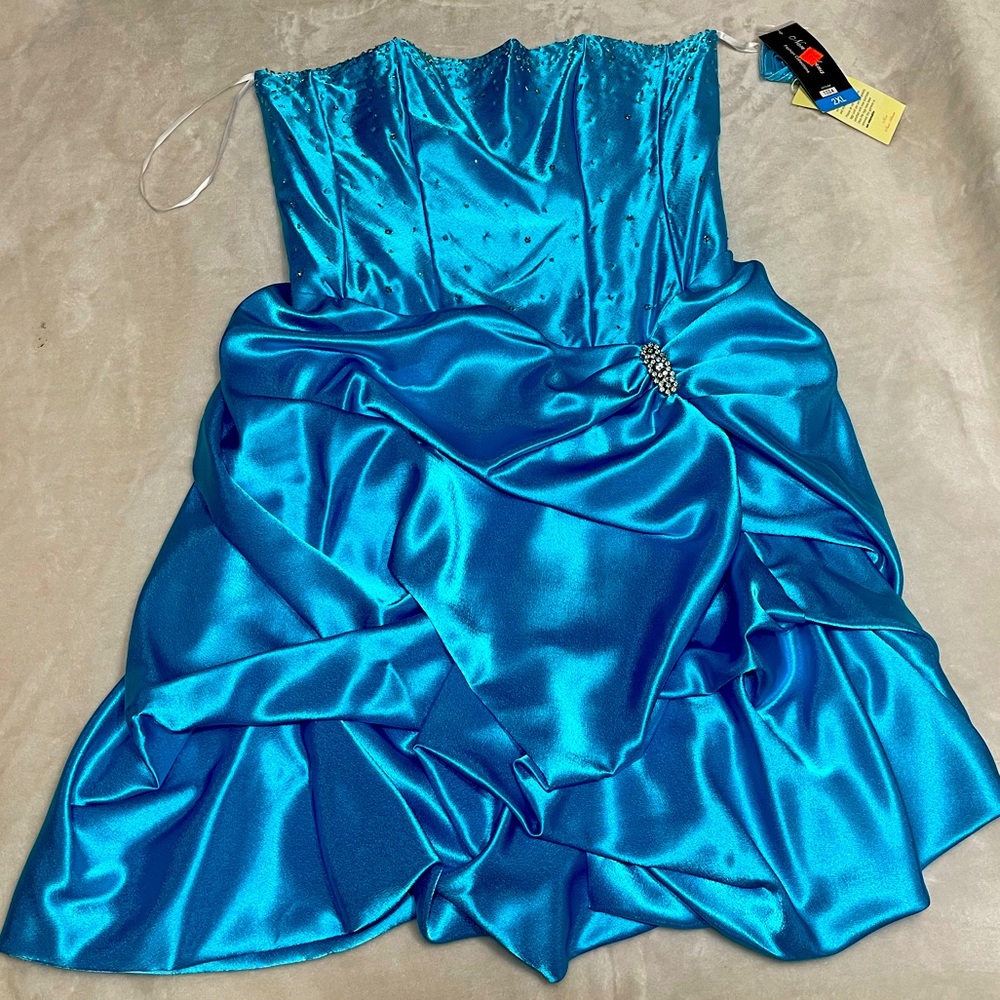 Brand New Women’s Dress